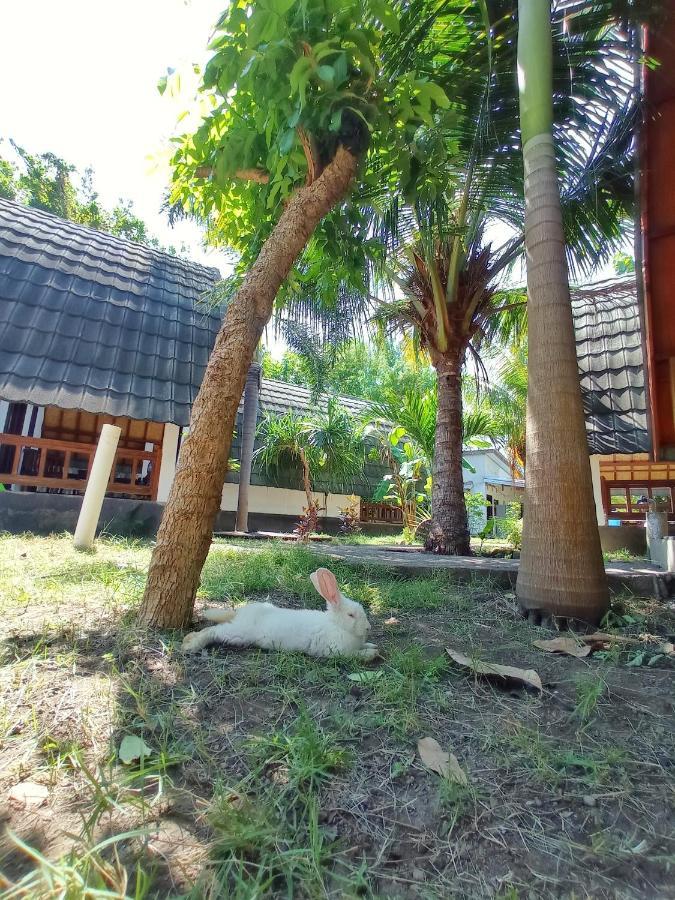 Follow The Rabbit Bungalow Gili Air Exterior foto